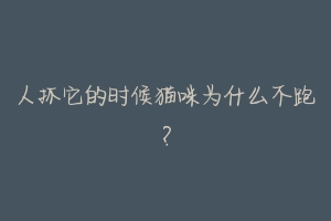 人抓它的时候猫咪为什么不跑?