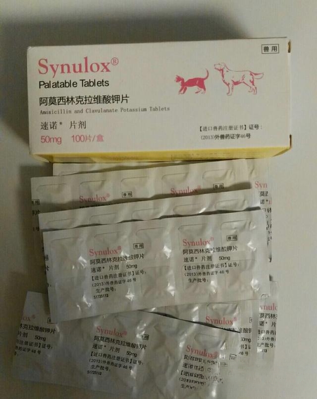 猫咪打喷嚏了,鼻涕还喷出来了怎么办,该怎么治疗?