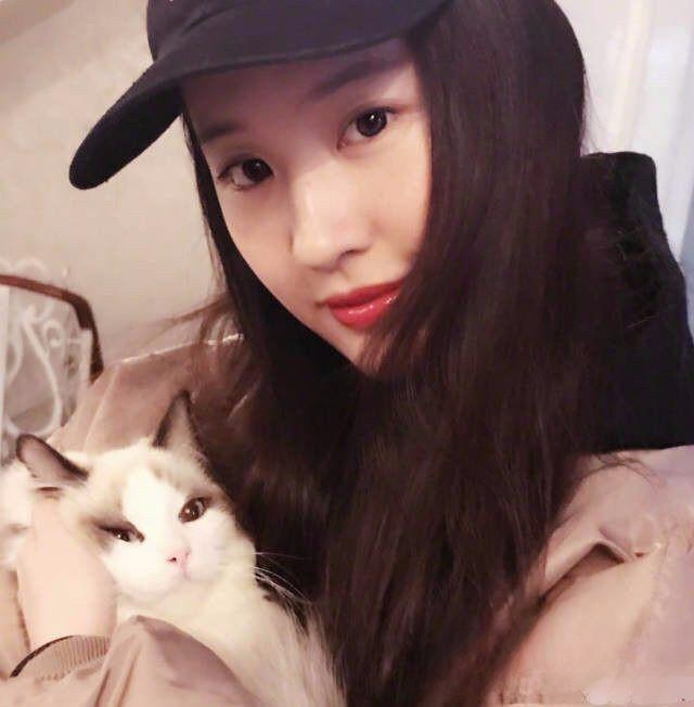 爱猫的明星有哪些?