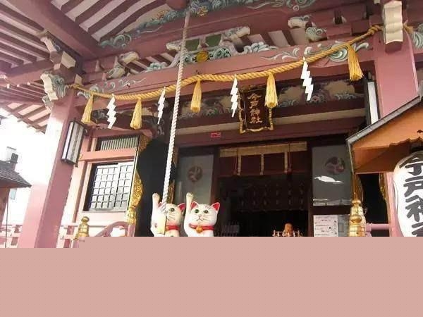 猫在日本为何有如此高的地位？