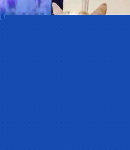 为什么小猫看见主人抱回一只小猫就又咬人又抓人的？