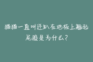 猫猫一直叫还趴在地板上翘起屁股是为什么?