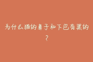 为什么猫的鼻子和下巴有黑的?