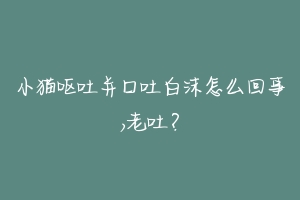 小猫呕吐并口吐白沫怎么回事,老吐?