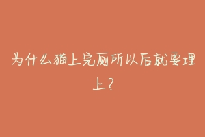 为什么猫上完厕所以后就要埋上？