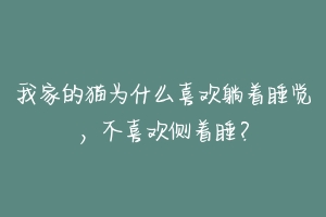 我家的猫为什么喜欢躺着睡觉,不喜欢侧着睡?