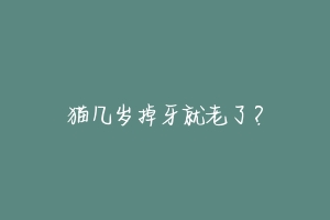 猫几岁掉牙就老了?