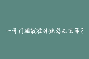 一开门猫就往外跑怎么回事?