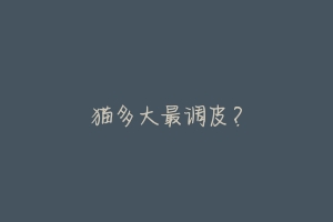 猫多大最调皮?