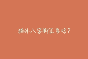 猫外八字脚正常吗?