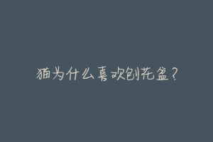 猫为什么喜欢刨花盆?