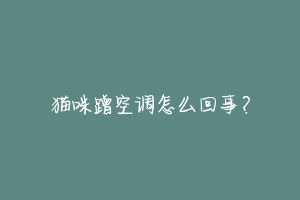 猫咪蹭空调怎么回事?