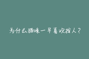 为什么猫咪一早喜欢找人？