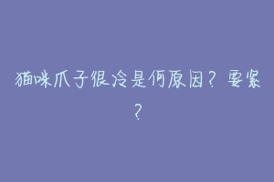 猫咪爪子很冷是何原因？要紧？
