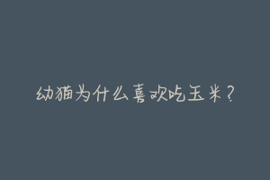 幼猫为什么喜欢吃玉米?
