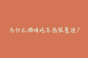为什么猫咪吃东西很墨迹?