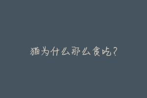 猫为什么那么贪吃?