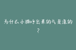 为什么小猫呼出来的气是凉的?
