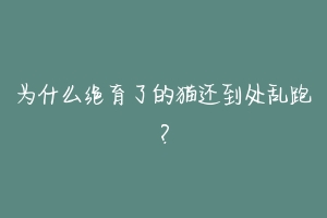 为什么绝育了的猫还到处乱跑?