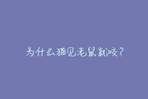 为什么猫见老鼠就咬？