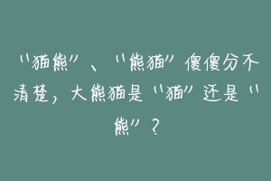 “猫熊”、“熊猫”傻傻分不清楚,大熊猫是“猫”还是“熊”?