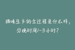 猫咪生产的全过程是什么样,分娩时间1-3小时?