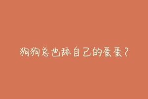 狗狗总也舔自己的蛋蛋?