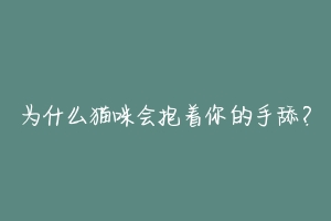 为什么猫咪会抱着你的手舔?