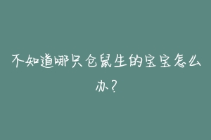 不知道哪只仓鼠生的宝宝怎么办?
