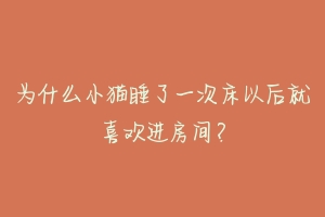 为什么小猫睡了一次床以后就喜欢进房间?