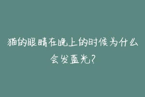 猫的眼睛在晚上的时候为什么会发蓝光?