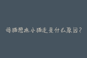 母猫想拖小猫走是什么原因？