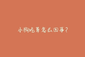 小狗吃草怎么回事?