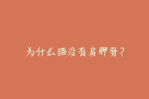 为什么猫没有肩胛骨?
