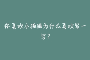 你喜欢小猫猫为什么喜欢写一写?