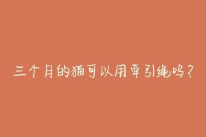 三个月的猫可以用牵引绳吗?