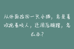 从外面捡回一只小猫,总是喜欢抱着咬人,还用后腿蹬,怎么办?