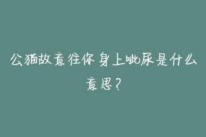 公猫故意往你身上呲尿是什么意思?