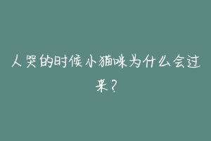 人哭的时候小猫咪为什么会过来?