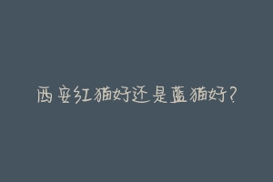 西安红猫好还是蓝猫好?