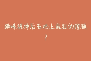 猫咪被摔后在地上疯狂的蹬腿?