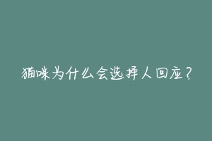 猫咪为什么会选择人回应?