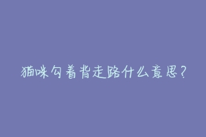 猫咪勾着背走路什么意思?