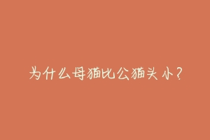 为什么母猫比公猫头小?