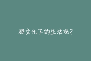 猫文化下的生活观?