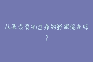 从来没有洗过澡的野猫能洗吗?