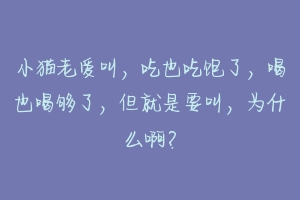 小猫老爱叫,吃也吃饱了,喝也喝够了,但就是要叫,为什么啊?