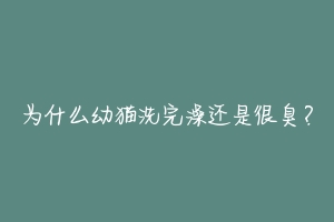 为什么幼猫洗完澡还是很臭?