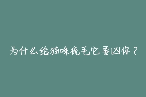为什么给猫咪梳毛它要凶你?