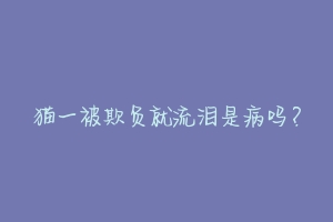 猫一被欺负就流泪是病吗?